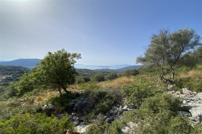 Fterno 180 Views 3.jpg